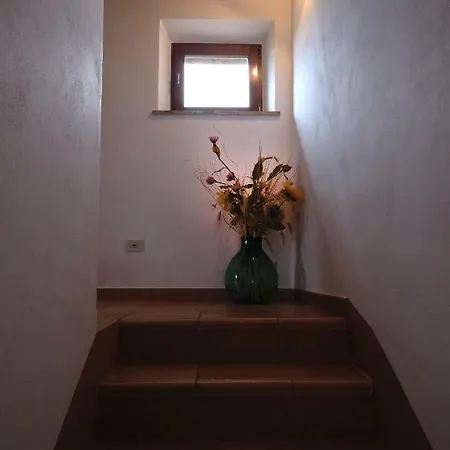 Podere Cacchini Пиенца